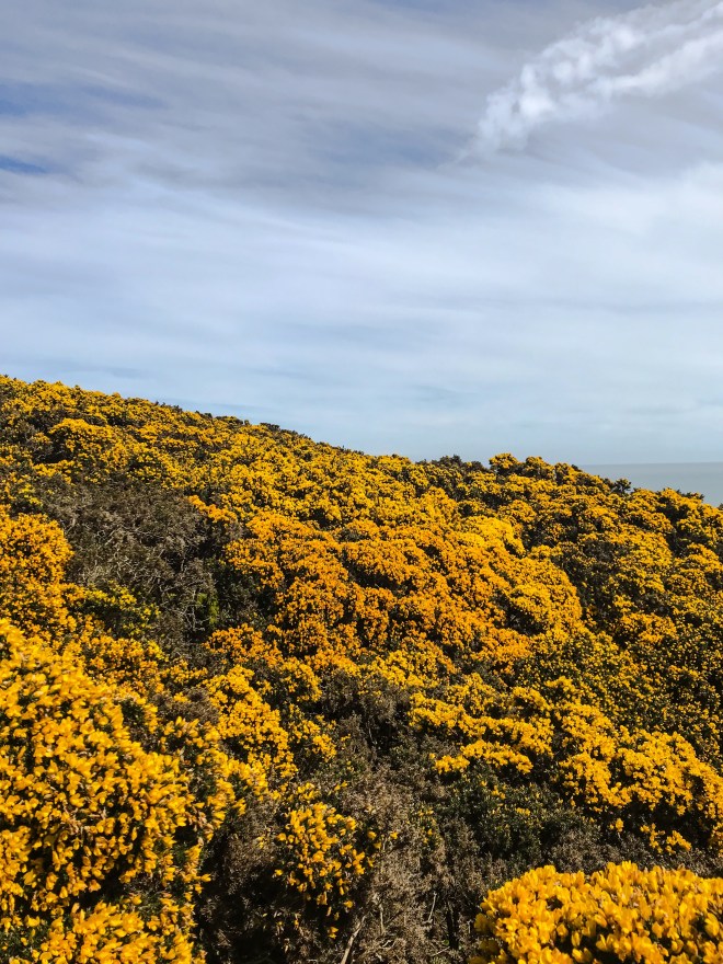 270587BA-EB21-43EF-84B5-44F8A37DD4CA