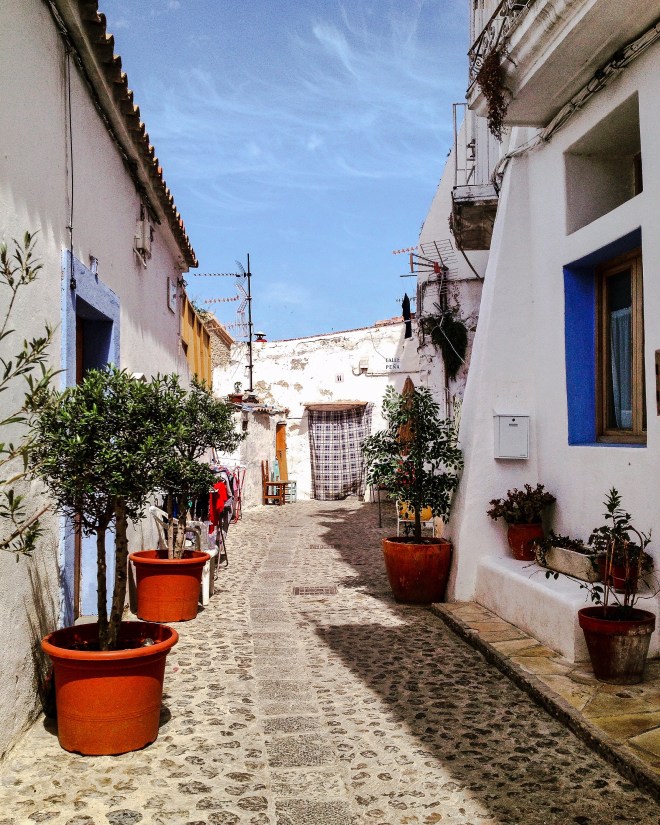 7392FA27-73C6-4FFB-9F1E-73F95CC0976B