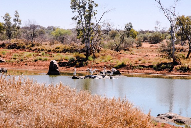 1CFE59C4-C7B8-407A-8C7A-4ABB05E1F6DD