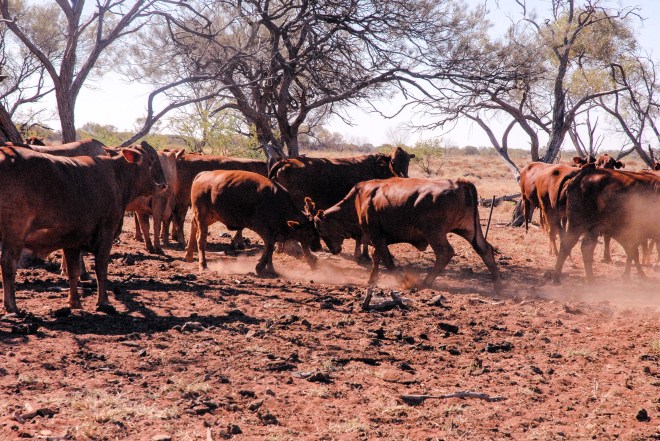 6C1A2B96-A802-4595-B40F-96C4E1070754