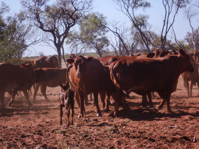 D5C65F20-2463-4D32-B8AB-D6B4F096BD20