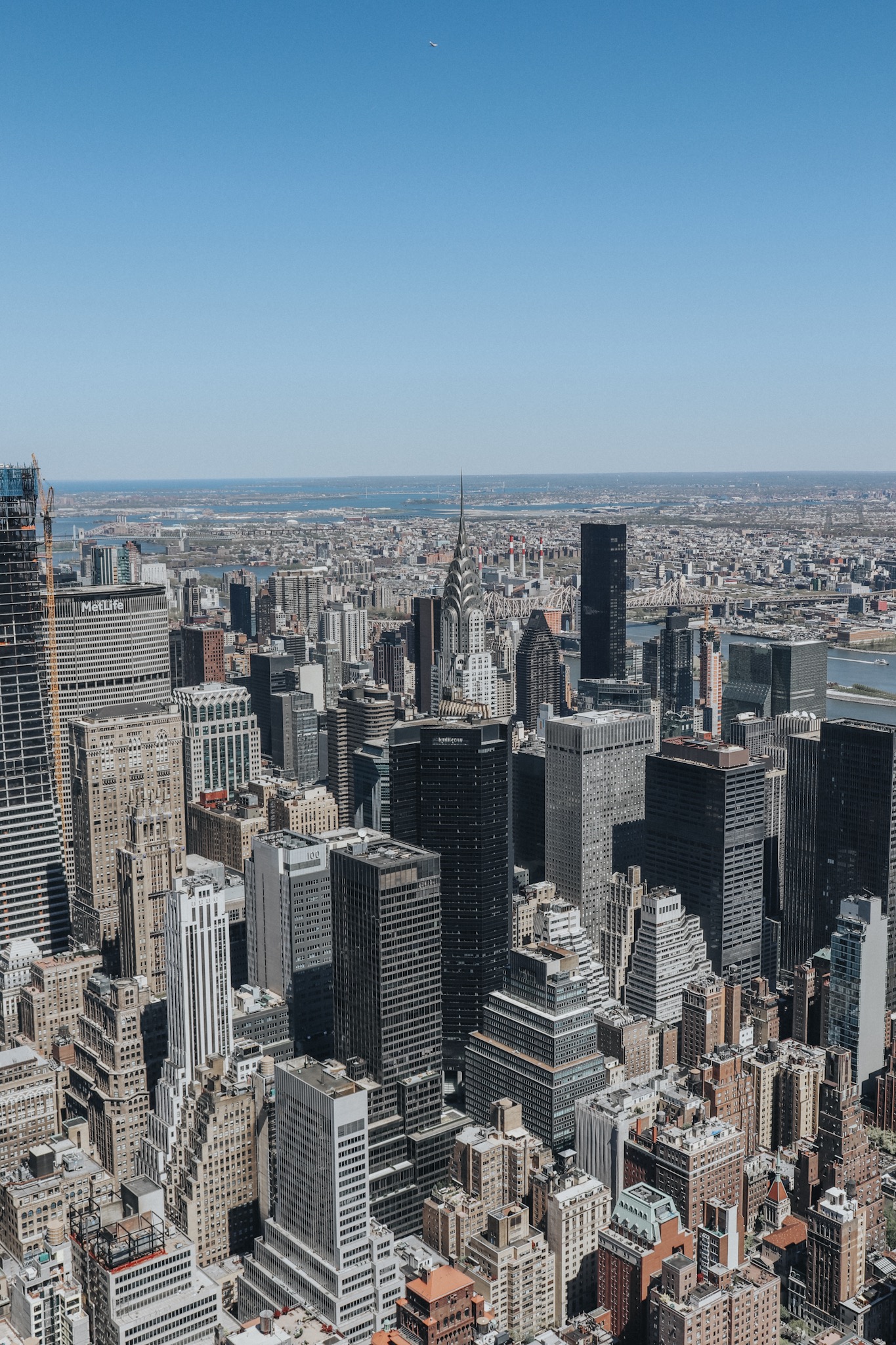 5919899512168690734_IMG_7157 2