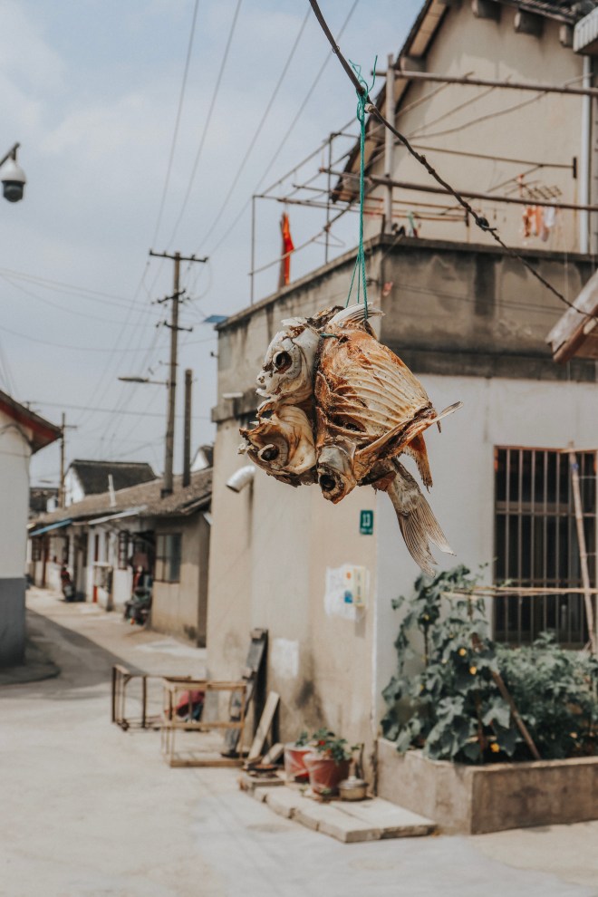 5796485577702211547_IMG_9360