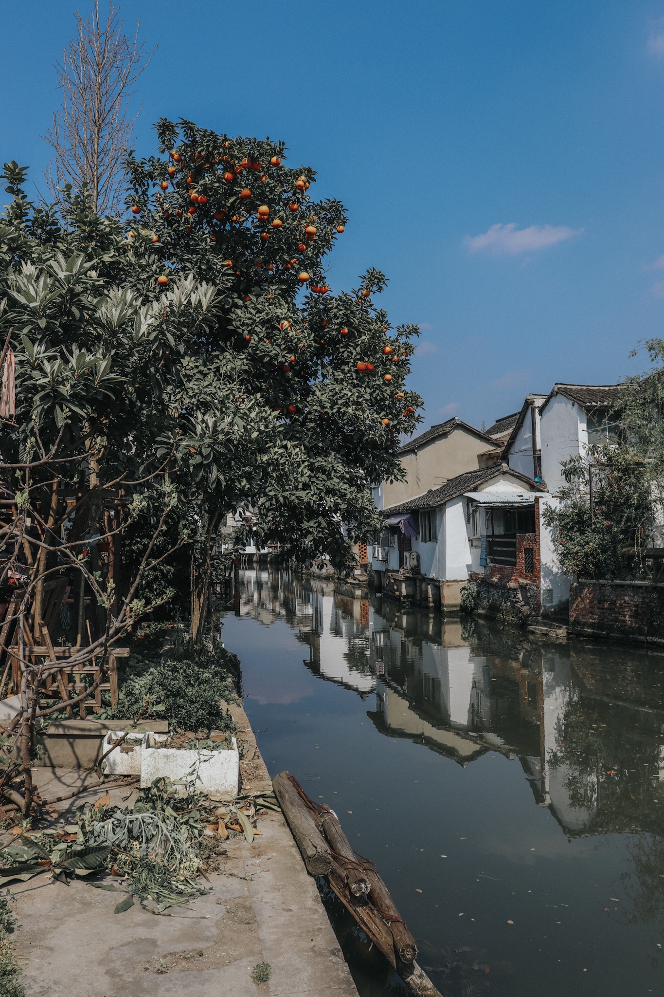 -6829171052980698242_IMG_6267