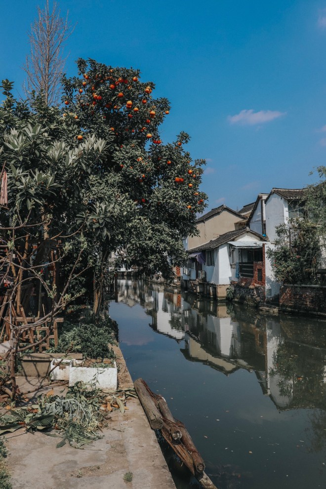 -6829171052980698242_IMG_6267