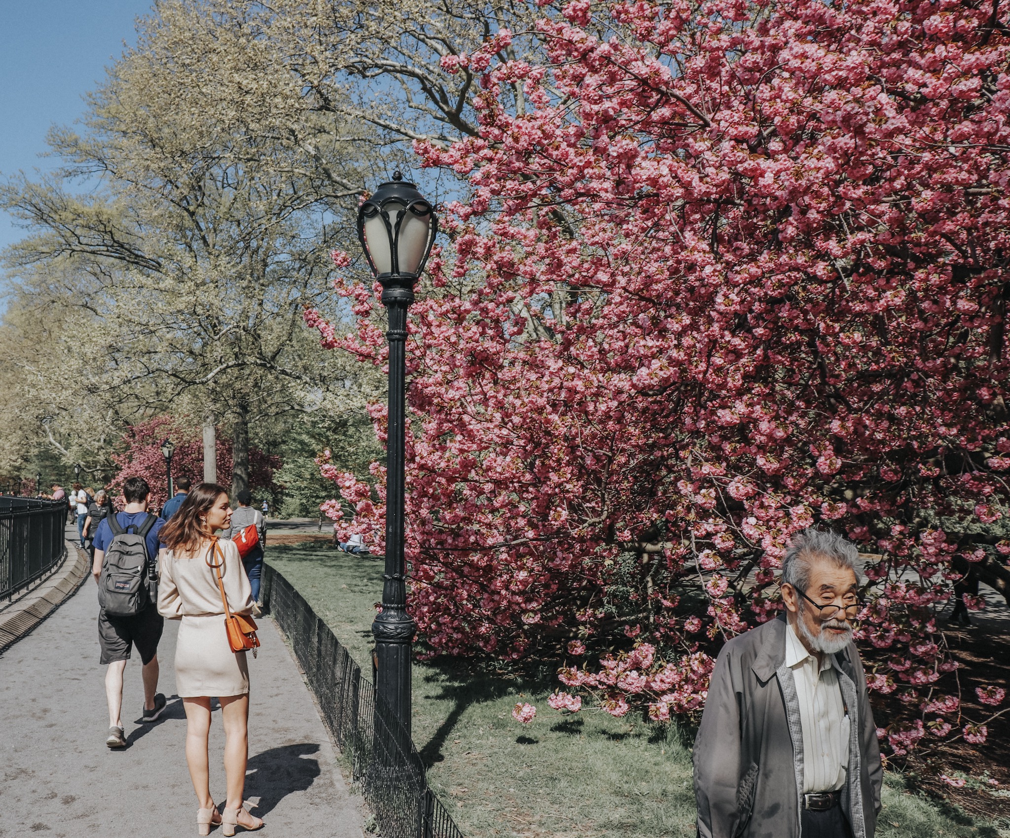 -8309032572503885851_IMG_7028 copy