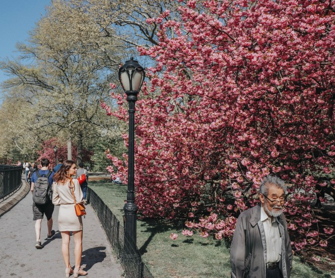 -8309032572503885851_IMG_7028 copy