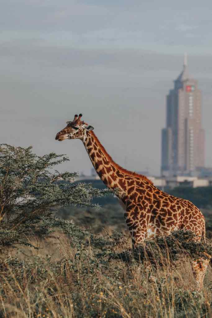 This image has an empty alt attribute; its file name is img_4631-2.jpg