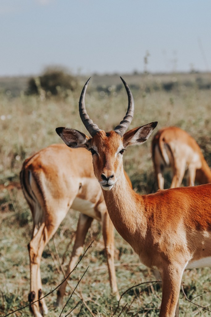 This image has an empty alt attribute; its file name is img_4798-1.jpg